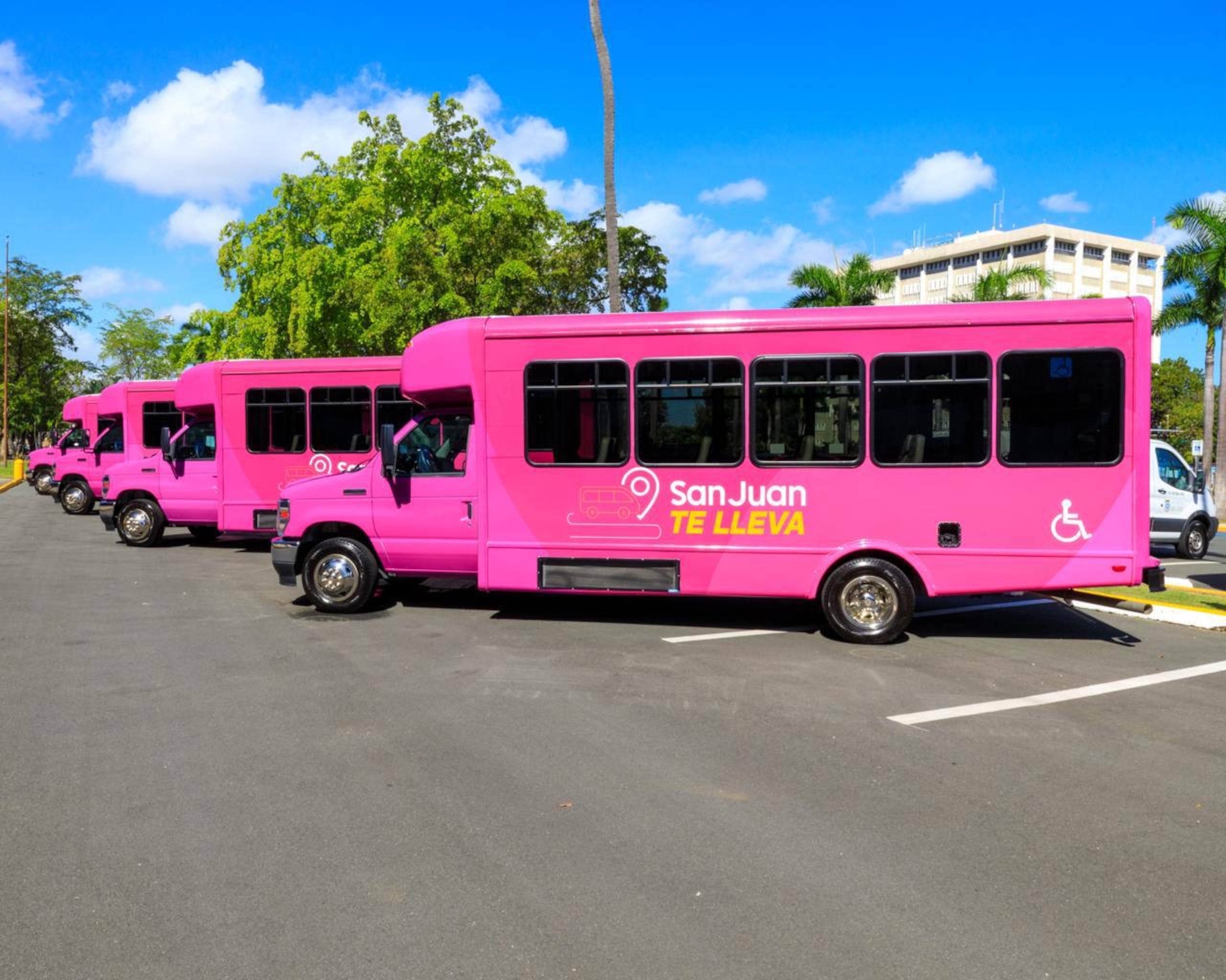 Para ofrecer el servicio, el municipio adquirió 4 unidades Ford Mini Bus 2024, con capacidad para 16 pasajeros y equipadas con rampas para sillas de ruedas, cumpliendo con los estándares de la Ley ADA.